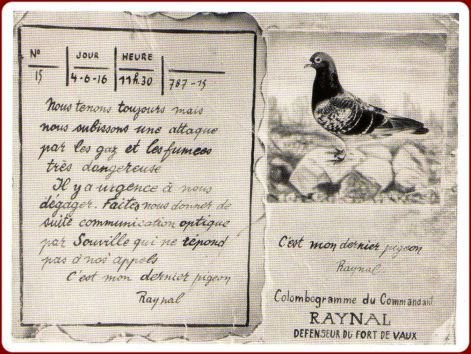 207781_121477217928279_1307290_n