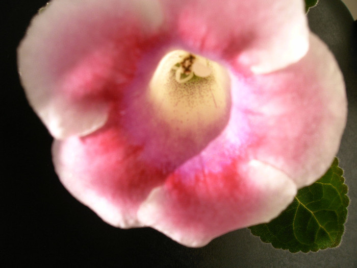 IMAG0002