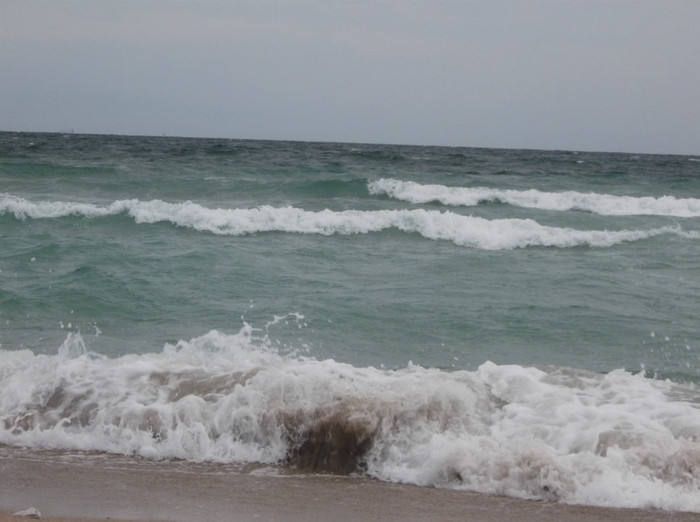 Picture 106 - EFORIE NORD 2012