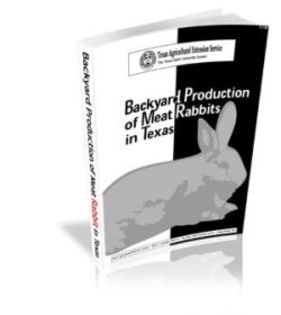 backyard-production