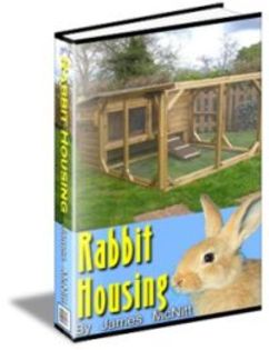 rabbit-housing