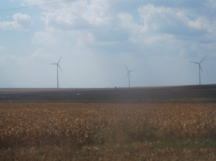 Picture 346 - EFORIE NORD 2012