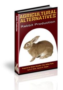 rabbit-production