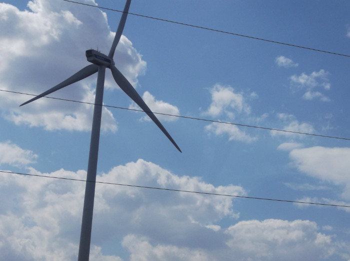 Picture 351 - EFORIE NORD 2012