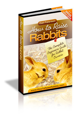 howtoraiserabbit-ebook
