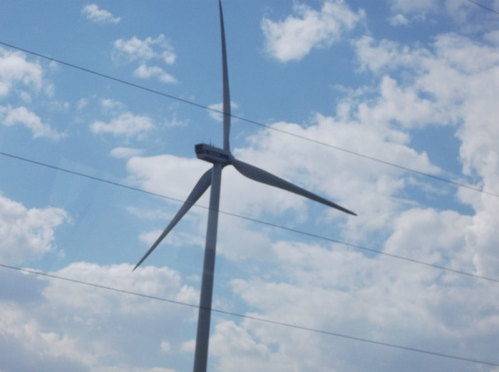 Picture 354 - EFORIE NORD 2012