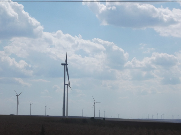 Picture 355 - EFORIE NORD 2012