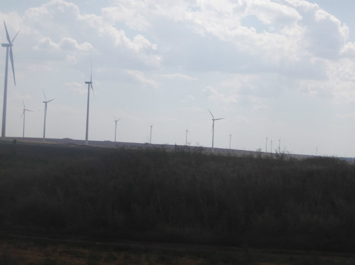 Picture 356 - EFORIE NORD 2012