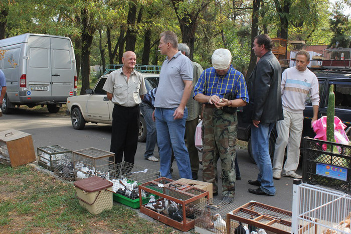 15.09.12 001b - Targul ODESA 2012