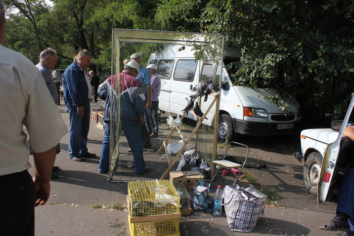 15.09.12 067b - Targul ODESA 2012