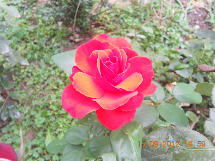 DSCN1995