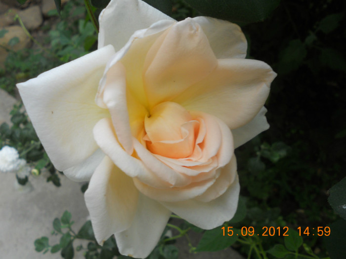 DSCN1997