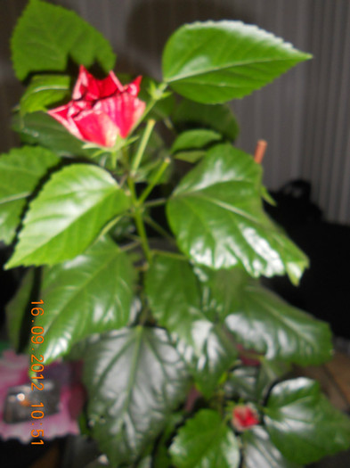 DSCN2002