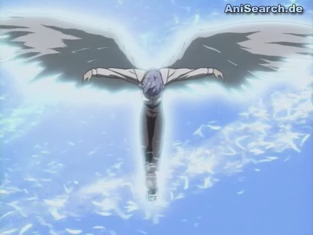 satoshi 10 - DN angel