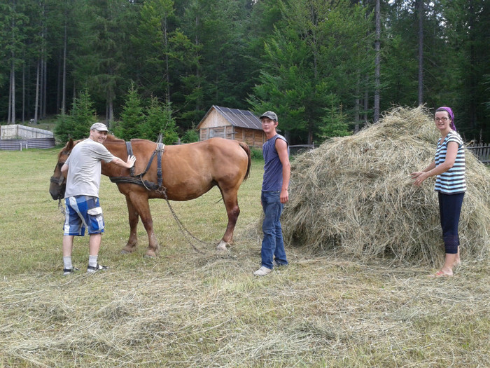 2012-07-07 11.04.54 - 2012 iulie - concediu Romania