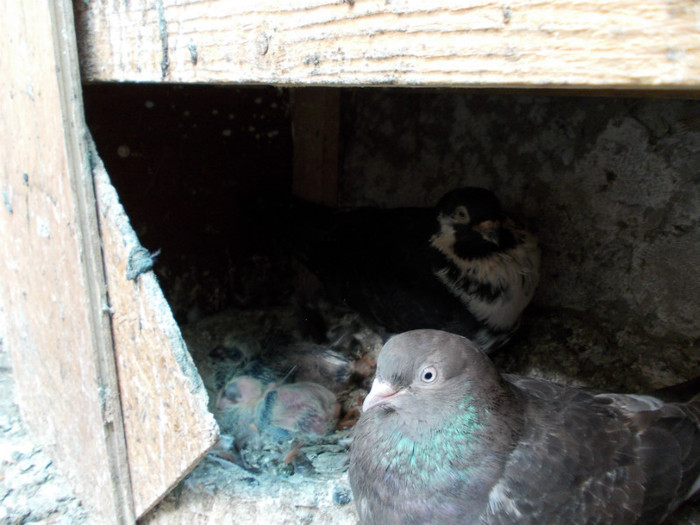 Picture 027 - 2012-2