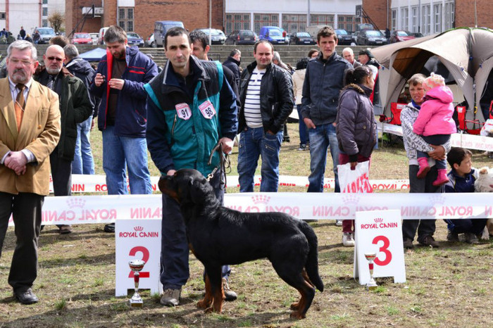 553982_324209517643411_1598436102_n - rottweiler canisa adamsrott