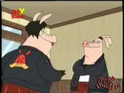 Orasul Purceilor - Orasul Purceilor