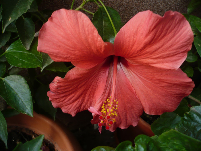P1180397