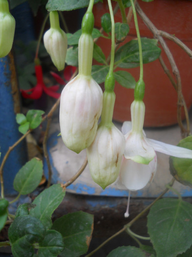 DSCN3418