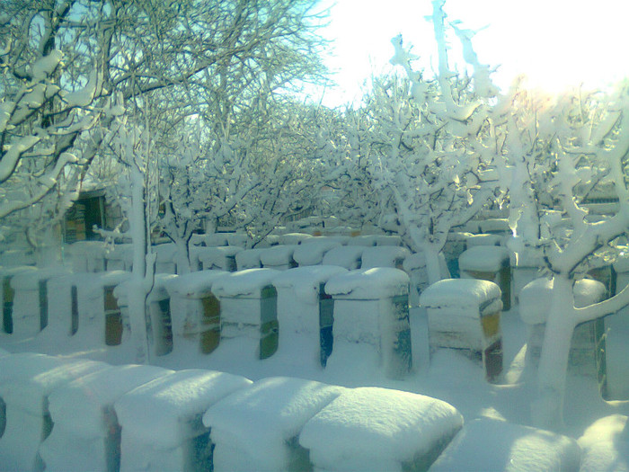 Fotografie0094 - 2012