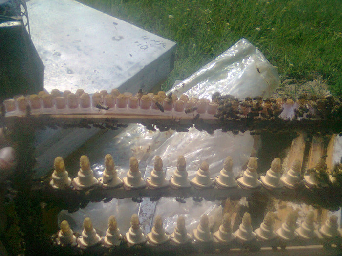 Fotografie0138 - 2012