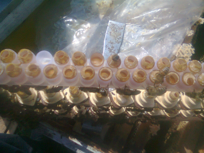 Fotografie0139 - 2012