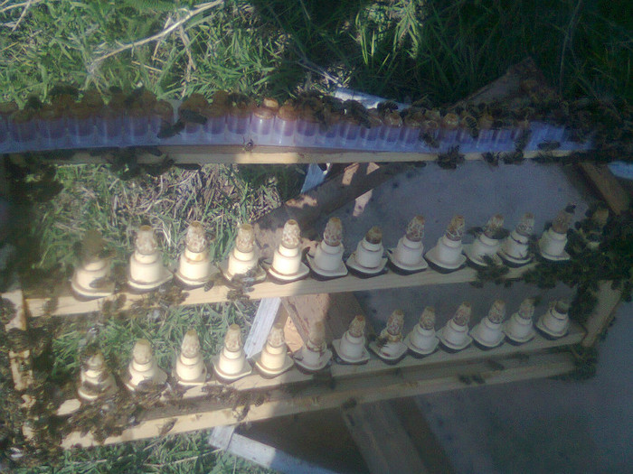 Fotografie0140 - 2012