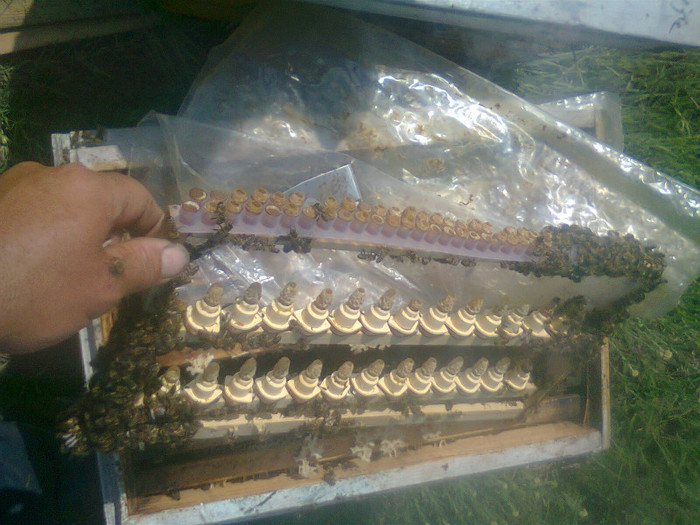 Fotografie0141 - 2012