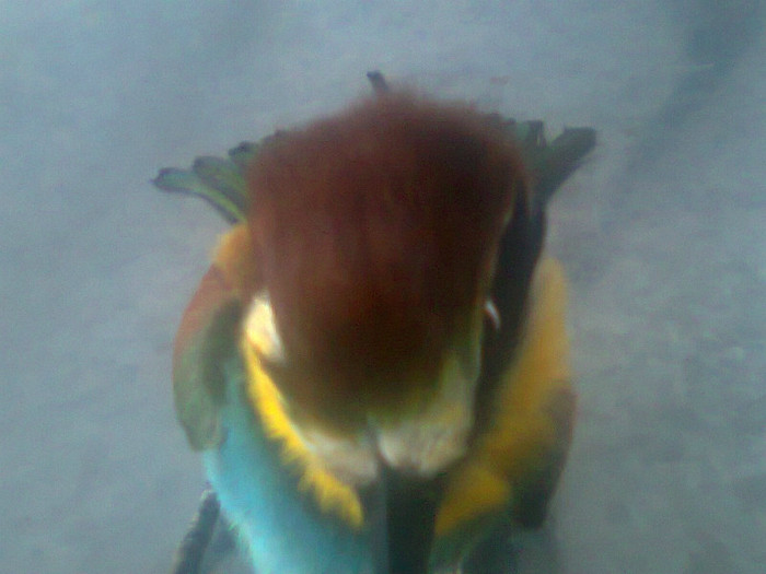 Fotografie0143 - 2012