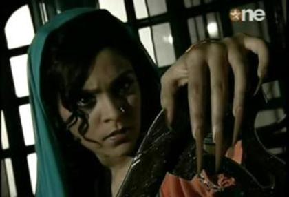 426957_442505955781703_731378263_n - ami trivedi