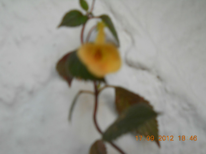 18.09.2012 005