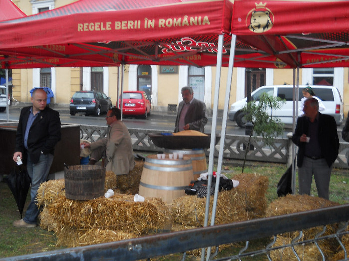 ex-parlamentar, cu horincuţa în pahar - medieval 2012 si urmatorii