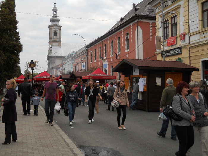 Picture (37) - medieval 2012 si urmatorii