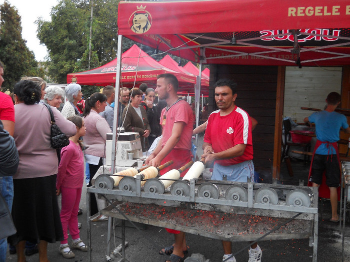 Picture (60) - medieval 2012 si urmatorii