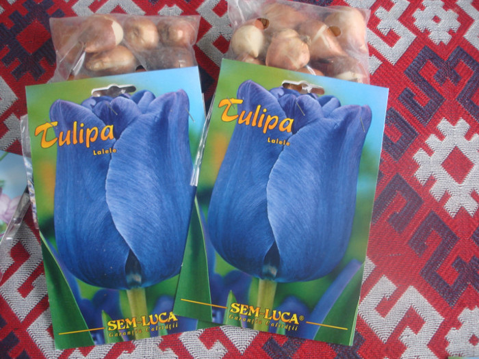 DSC07003; nu au iesit nici albastre nici alta culoare poate la anu avem noroc
