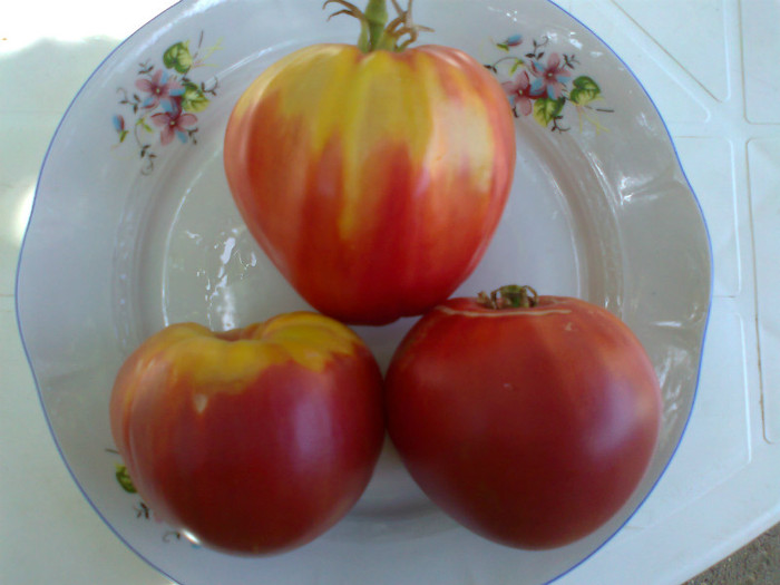 ANNA MARIA HEART - 02- TOMATE-ROSII-SOIURI PURE ORGANICE VECHI ROMANESTI SI HEIRLOOM ALBUM 2