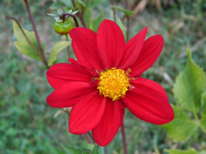 010 - 9_SEPTEMBRIE
