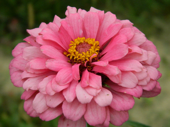 017 - 9_SEPTEMBRIE