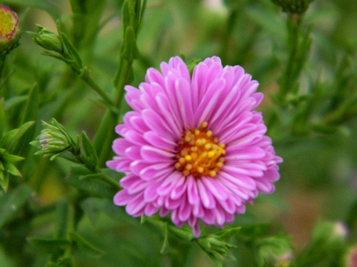 020 - 9_SEPTEMBRIE