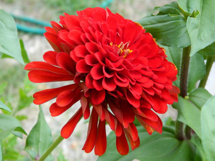 021 - 9_SEPTEMBRIE