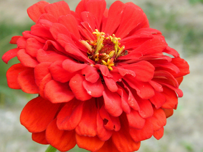 023 - 9_SEPTEMBRIE