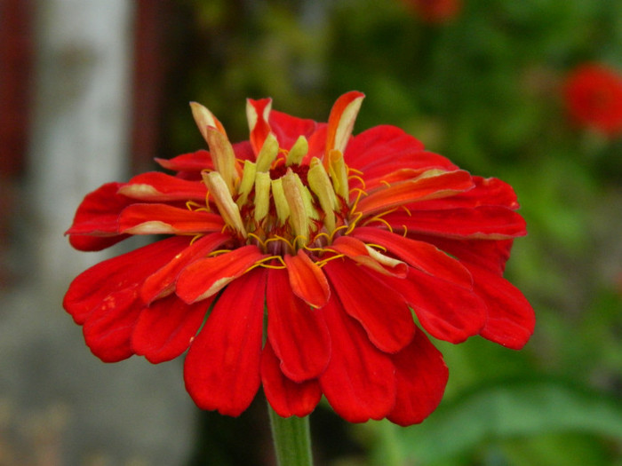 025 - 9_SEPTEMBRIE