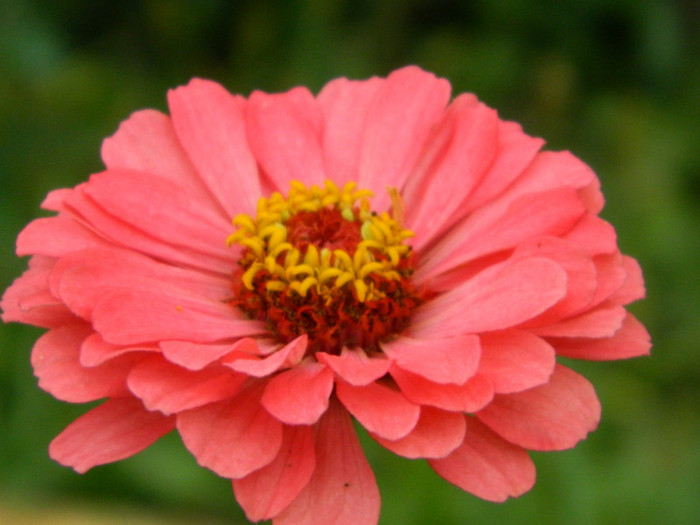 030 - 9_SEPTEMBRIE
