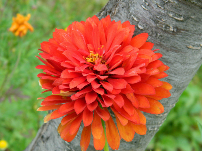 032 - 9_SEPTEMBRIE