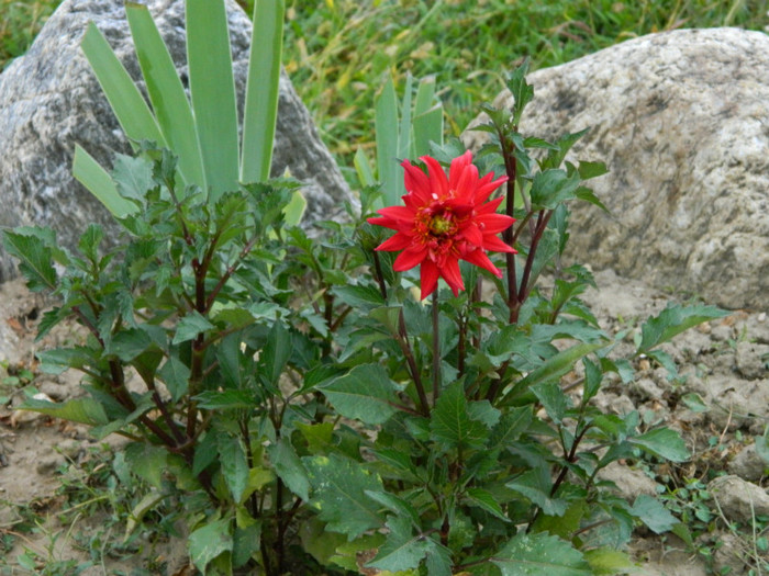 056 - 9_SEPTEMBRIE
