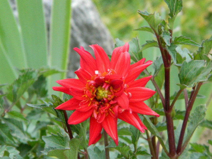057 - 9_SEPTEMBRIE