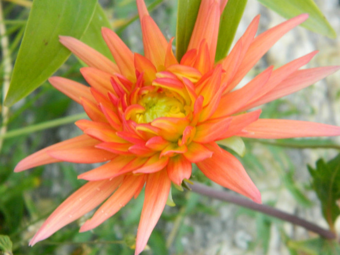 059 - 9_SEPTEMBRIE