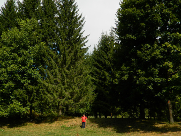 DSCN9797 - 1 VACANTA SEPTEMBRIE 2012