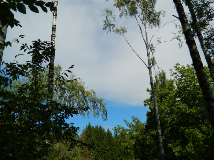 DSCN9809 - 1 VACANTA SEPTEMBRIE 2012